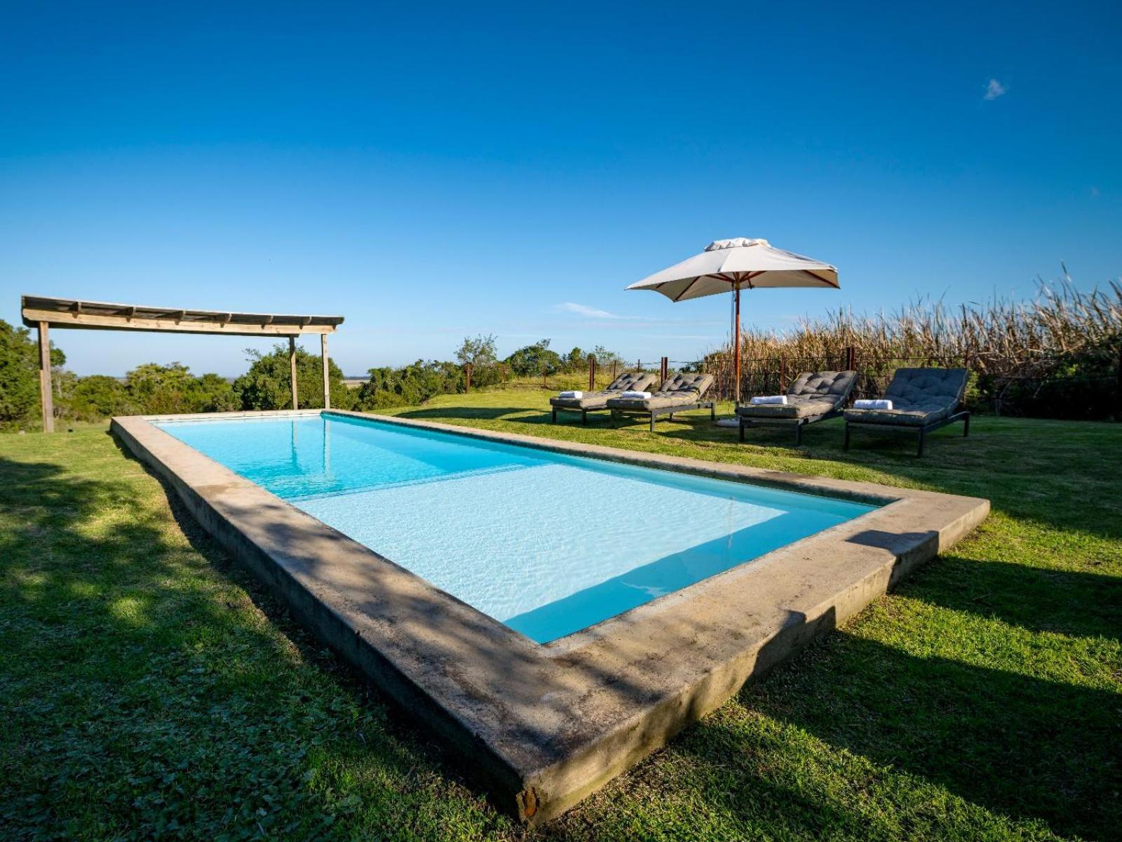 Belle Balance Bush Lodge Plettenberg Bay Exterior foto